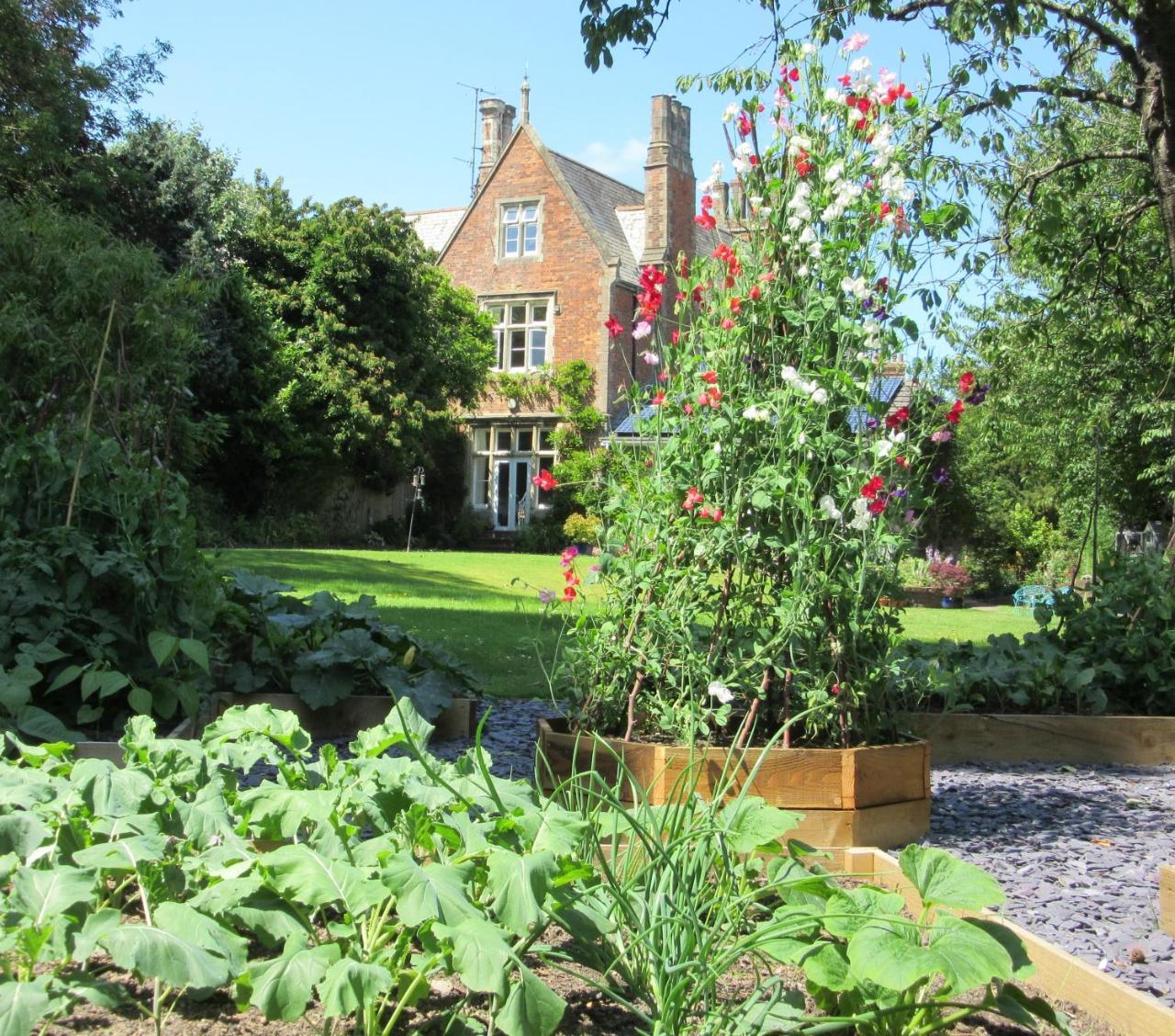 The Old Vicarage B & B Barnstaple Exteriér fotografie